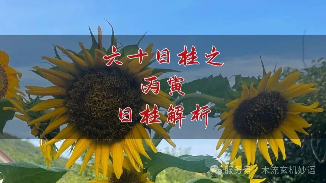 六十日柱之丙寅日柱解析