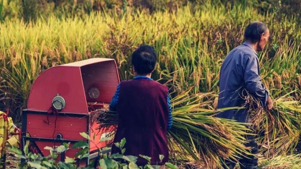 追我的女孩排成队，我妈却相中捡桌上米粒、爱刮碗底的女孩做儿媳