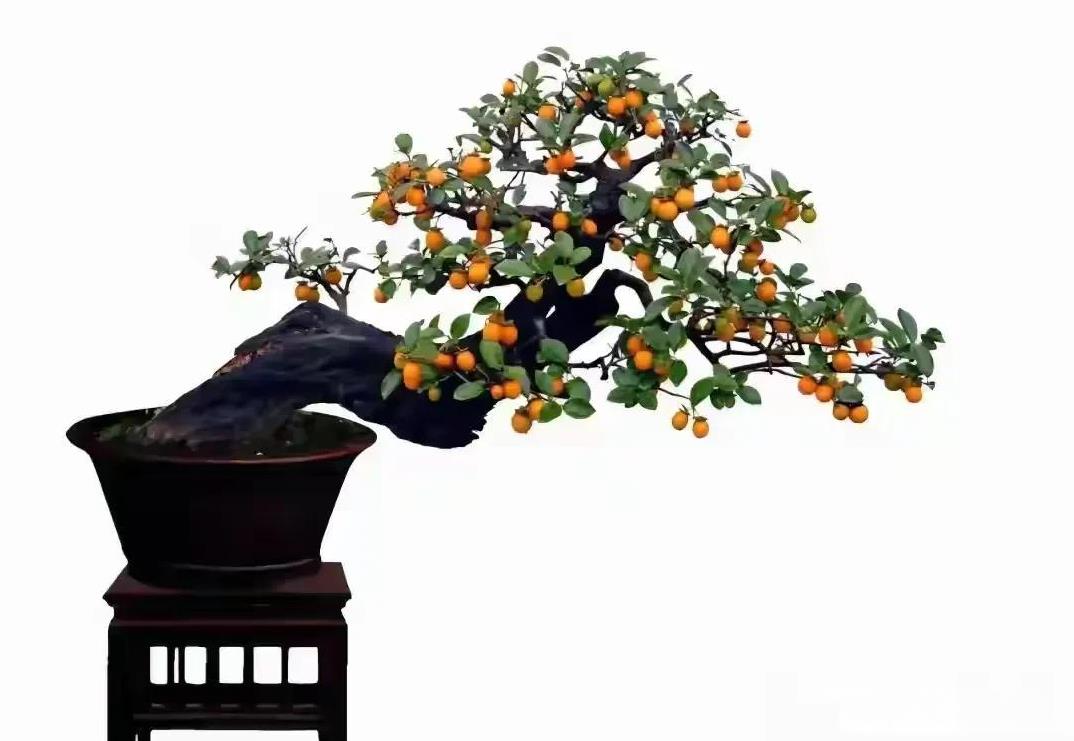 在单位，领导如何通过聊天，知道一个人是否堪大用:
1，看你汇报工作时，是否思路清