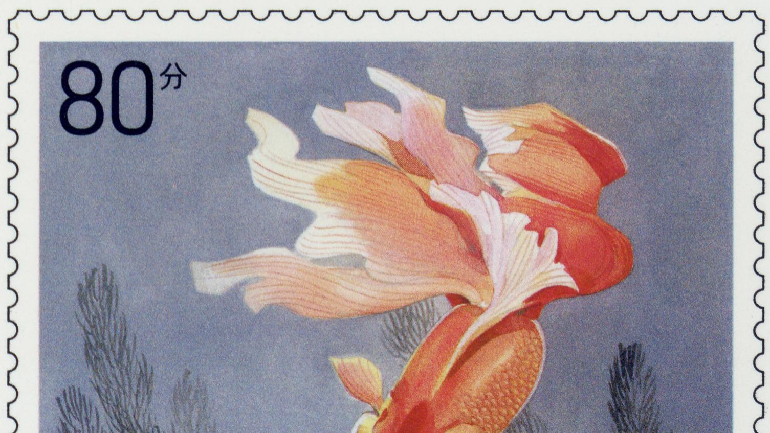 【高清扫描】TP45孙传哲邮票设计艺术邮资明信片，金鱼黄山的再现