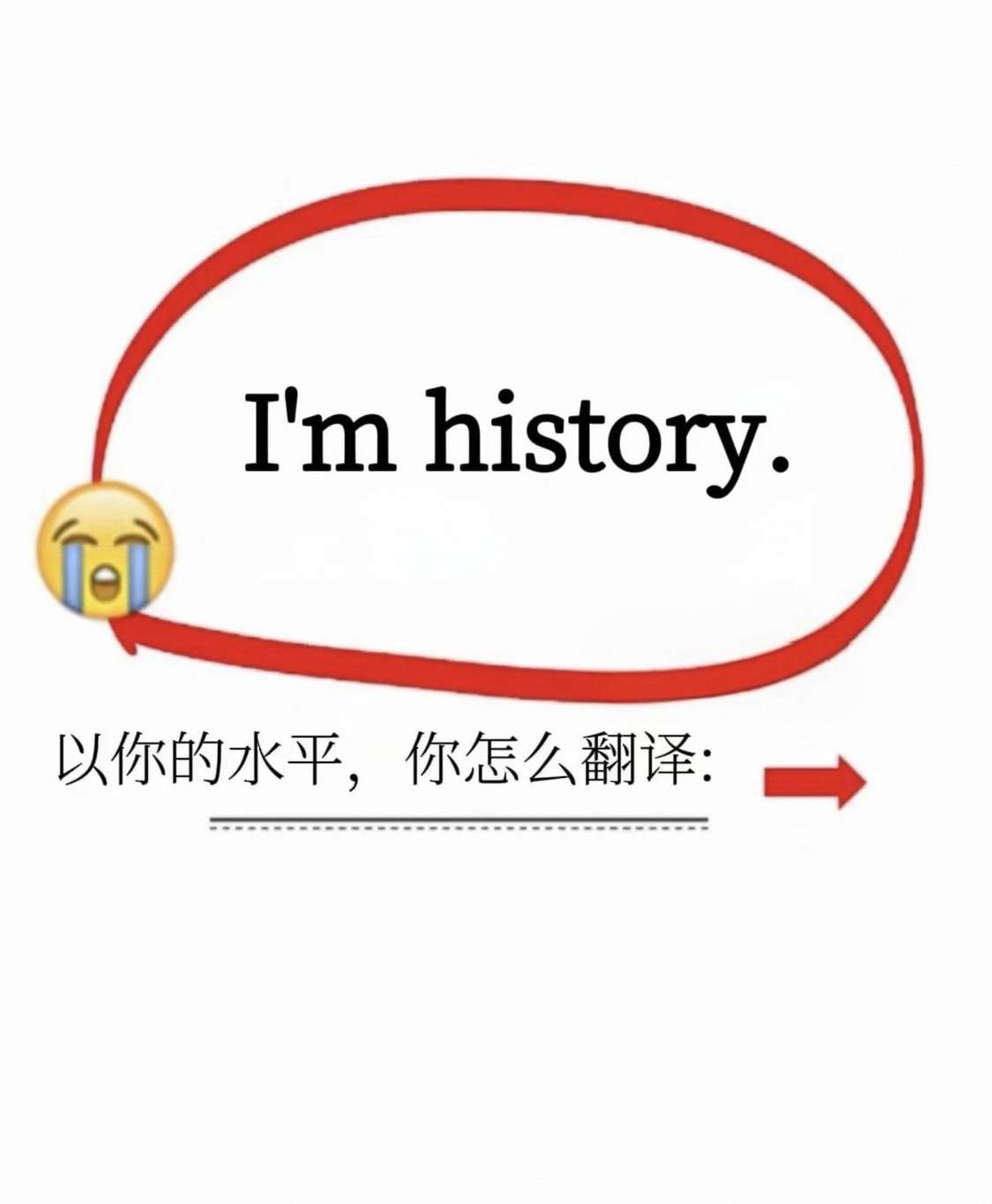 以你的水平，你怎么翻译？