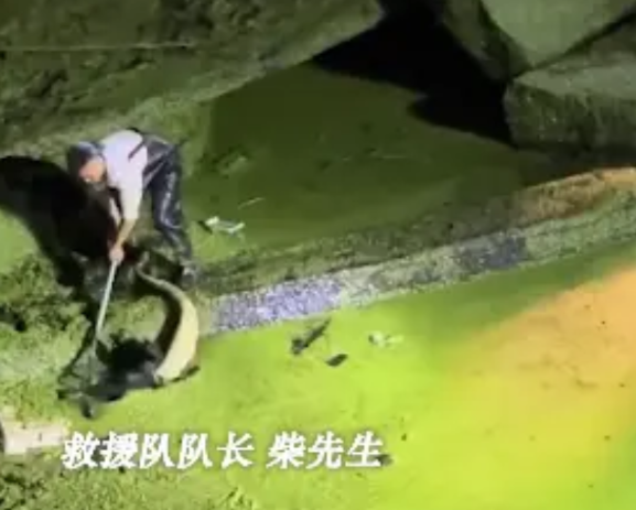 离了个大谱！6月7日，河南新乡某救援队接到一通求助电话，对方十分焦急，请求他们来
