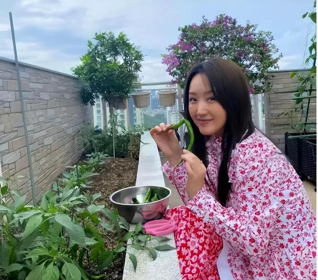 杨钰莹被问到如何看待，赖文峰和楚林的关系时？她说，你这个问题，让我特别不舒服。没