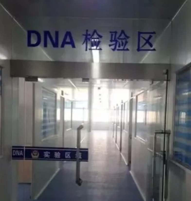 我和老公刚结婚就怀孕了，孩子出来后婆婆觉得不像我老公要求做亲子鉴定，我说要做也可