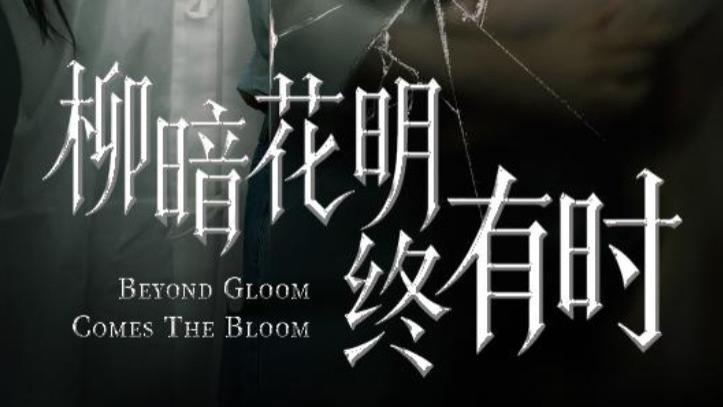 最新短剧《柳暗花明终有时》：50 集短剧里的跌宕人生与希望之光