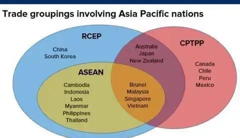 为阻止中国加入CPTPP日澳给中方立下规矩
 近日中国加入CPTPP被告知需要满