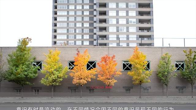 团队教练必备：意识五阶段，教练读懂客户的终极工具