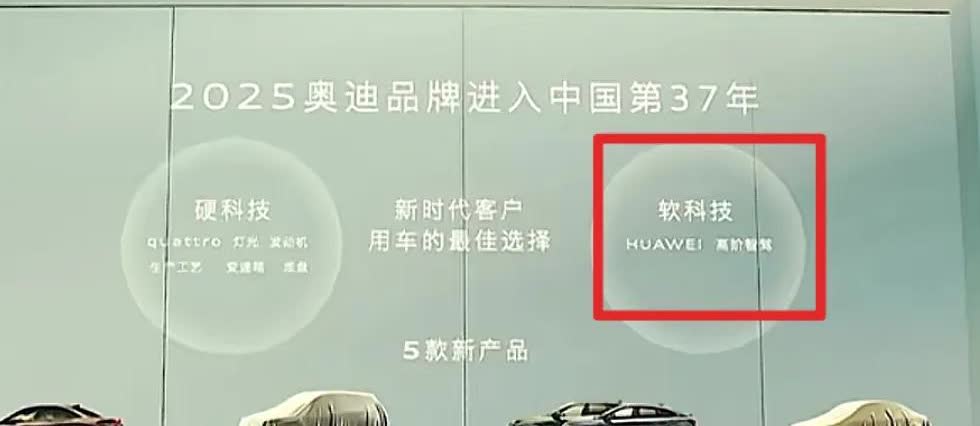 奥迪为什么要用华为智驾，这么大公司为什不自己研发智驾，国产车再小都是自己研发智驾