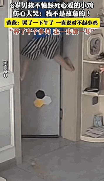 实在没忍住笑了！河南，小男孩一不小心把自己精心喂养的小鸡给踩死了，蹲下来后直接抱