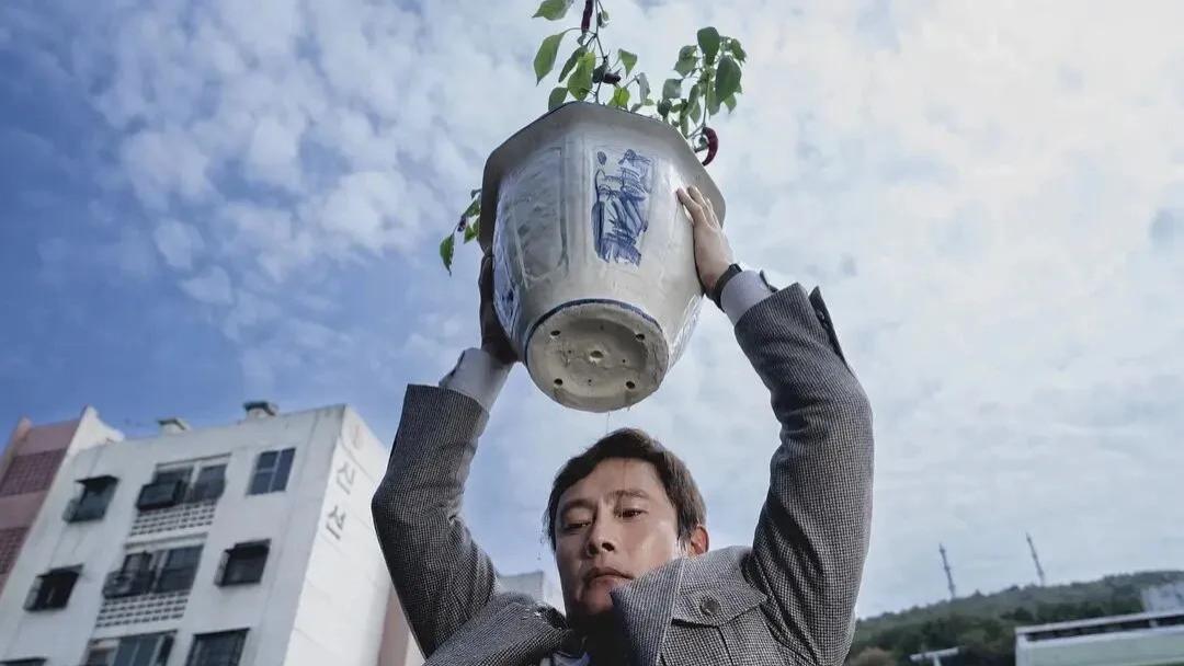 青龙奖最佳影片《无可奈何》镜头语言分析，矛盾被消解的人类砍伐