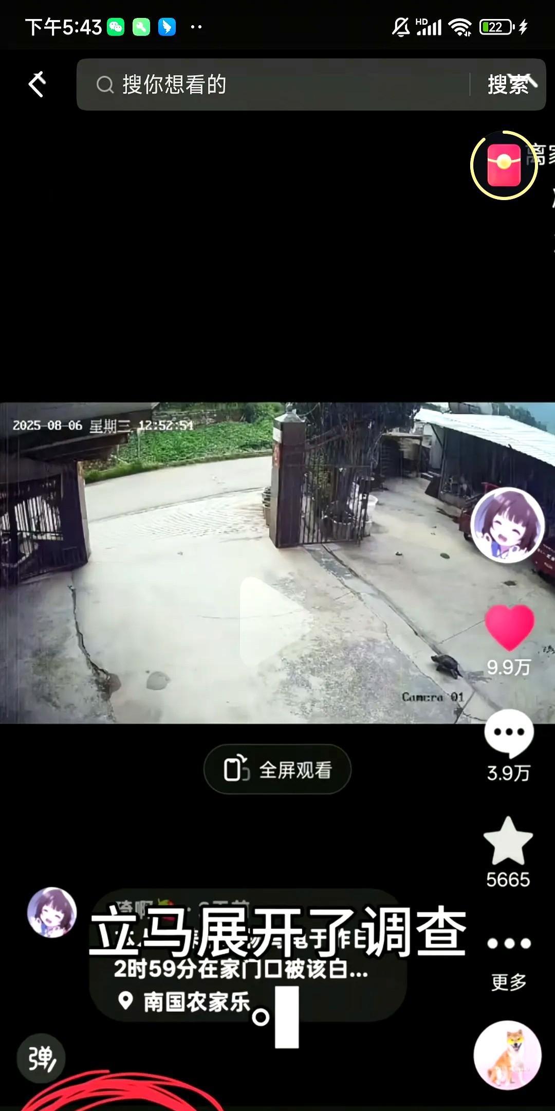 全网关注的“出走鳄龟”终于平安归来！
经过两天一夜的坚持搜寻，女子激动地发布视频