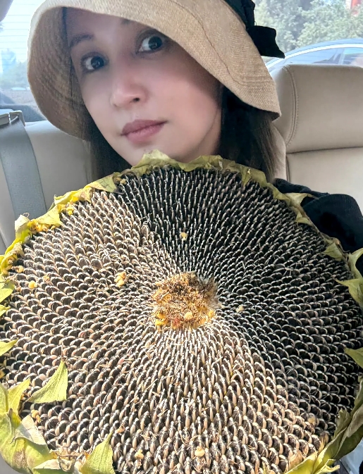 哭笑不得，
袁弘
这宠妻方式真是太憨厚了！

原本以为张歆艺嫁给袁弘多少会有些膈