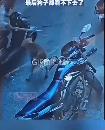 一男子用棍子敲打着它，刚把它打倒在地，另外一位男子走了过来，对打它的男子一顿训斥
