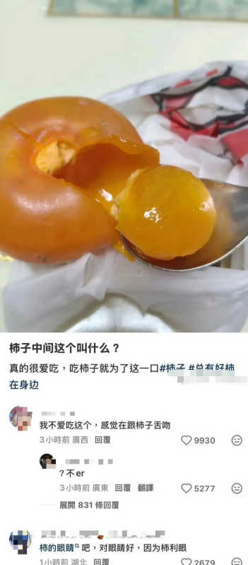 我决定叫它柿中心