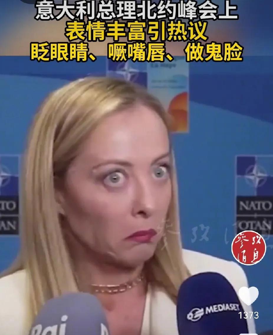 严重双标，北约峰会上梅洛尼让特朗普难堪？6月25日，意大利总理梅洛尼在海牙北约峰