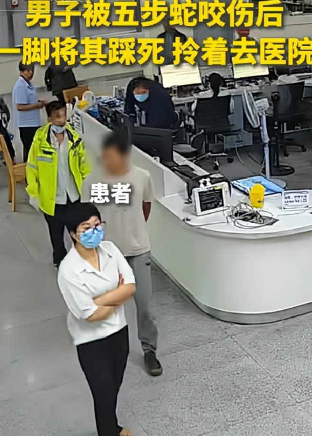 浙江一49岁男子被五步蛇咬伤后，一脚将其踩死，随后淡定的拎着蛇前往医院就医，当医