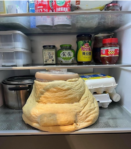 一打开冰箱门，好家伙，简直像天塌了 ​​​
