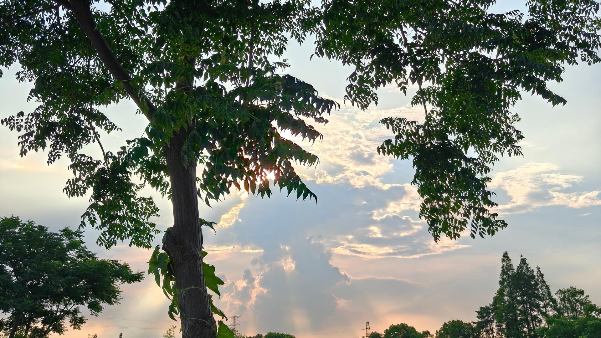 井然有序的宇宙是自然形成，还是受外力操纵