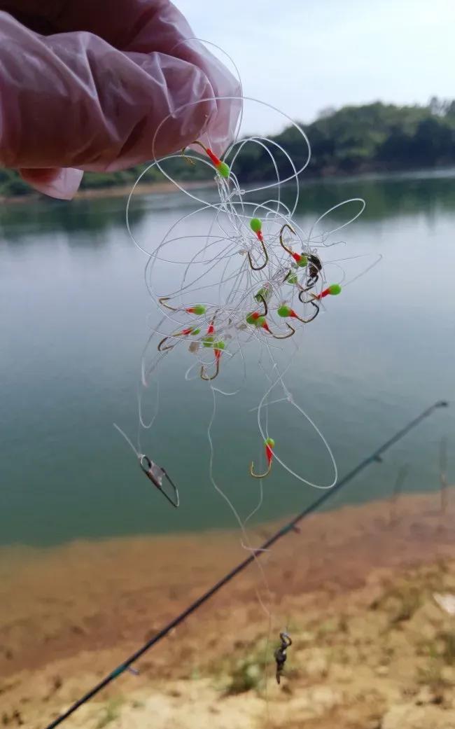 人生要有“鱼”乐精神，没有大鱼就钓小鱼，没有小鱼就摸螺蛳，没有螺蛳就摘野菜，没有