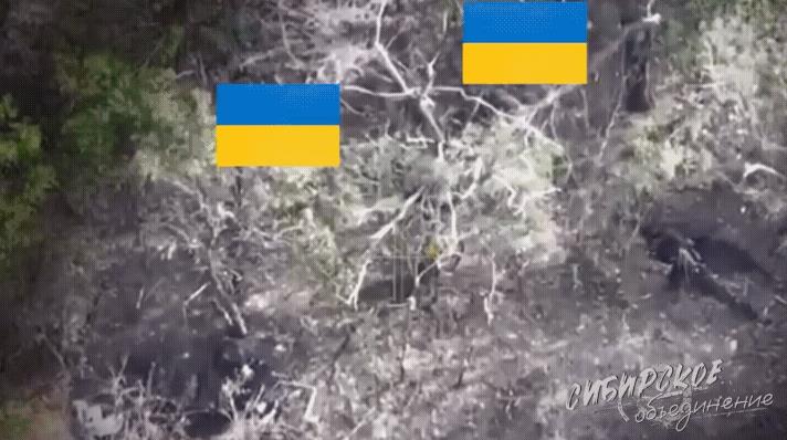 兵不厌诈！一名俄军太狡猾了，躲在一个散兵坑内伏击了两名过路的乌军。
两名乌军太过