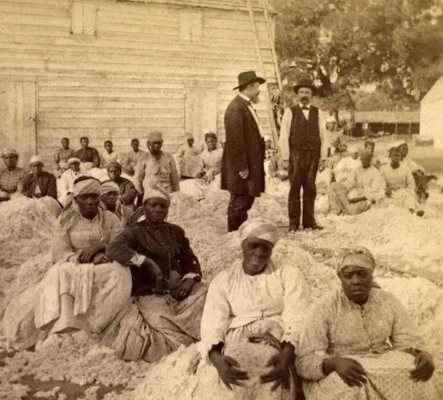 1915年的刚果。上个世纪，比利时国王殖民刚果时，屠杀了1000多万土著“立威”
