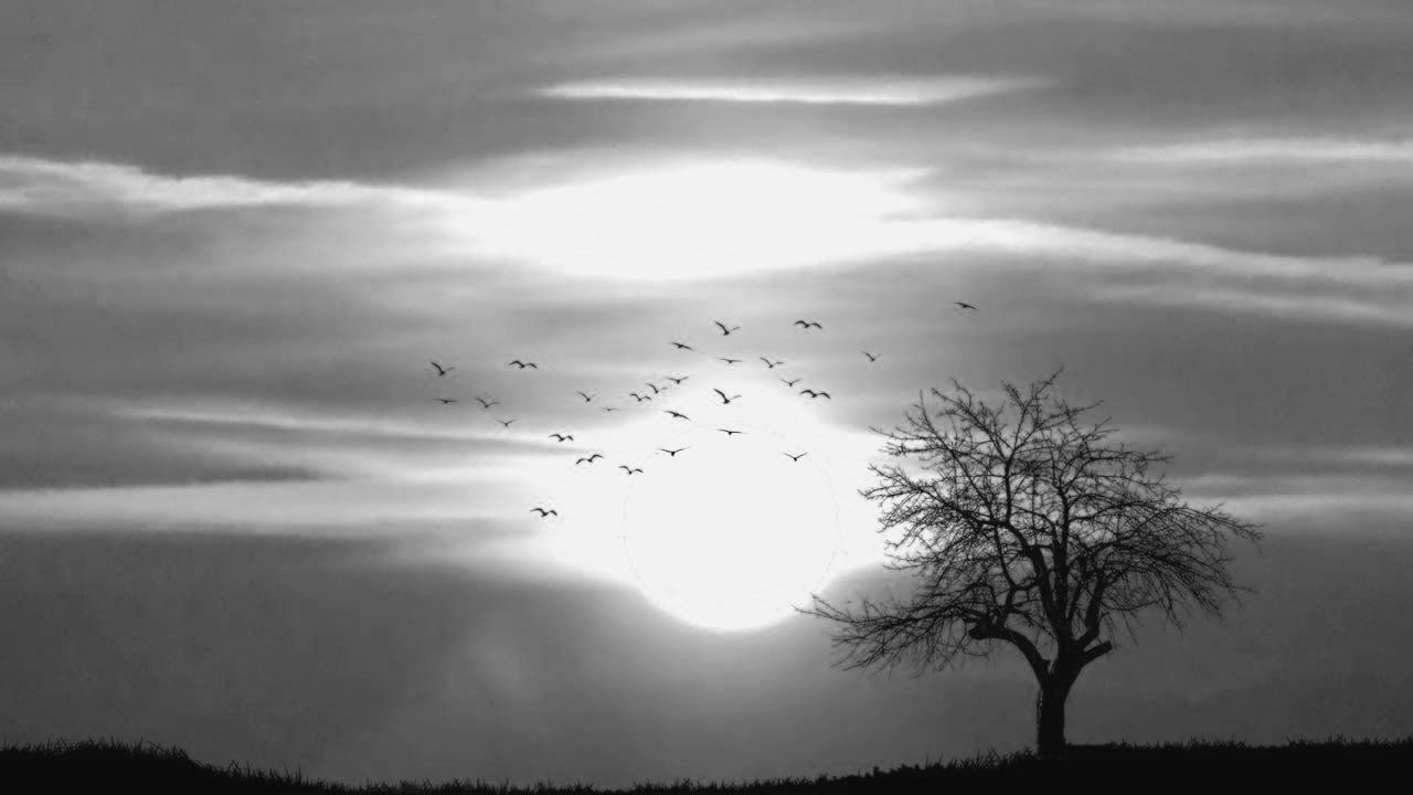 是时候给人生配红利了