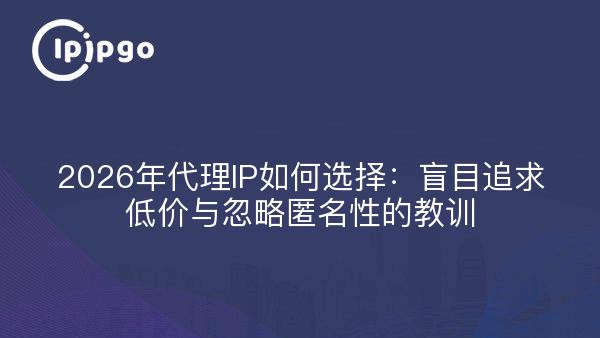2026年代理IP如何选择：盲目追求低价与忽略匿名性的教训