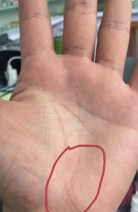 有时候很多人看到自己手纹乱
心里慌，甚至忧心忡忡
其实没有必要，手相是告诉你
后