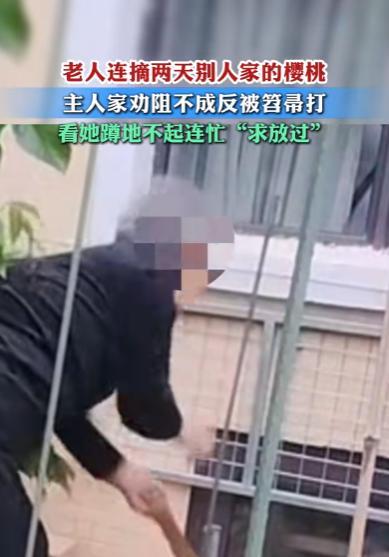 太无奈了。辽宁，一老太连续两天到别人家院子摘樱桃，这主人家发现后就上前劝阻，不料
