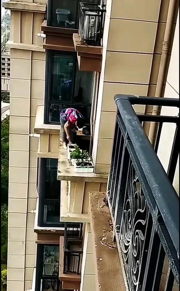 太吓人了！小区刘大妈真的是拿命在种菜啊！她非在30多层高楼的阳台外头种起了菜！这