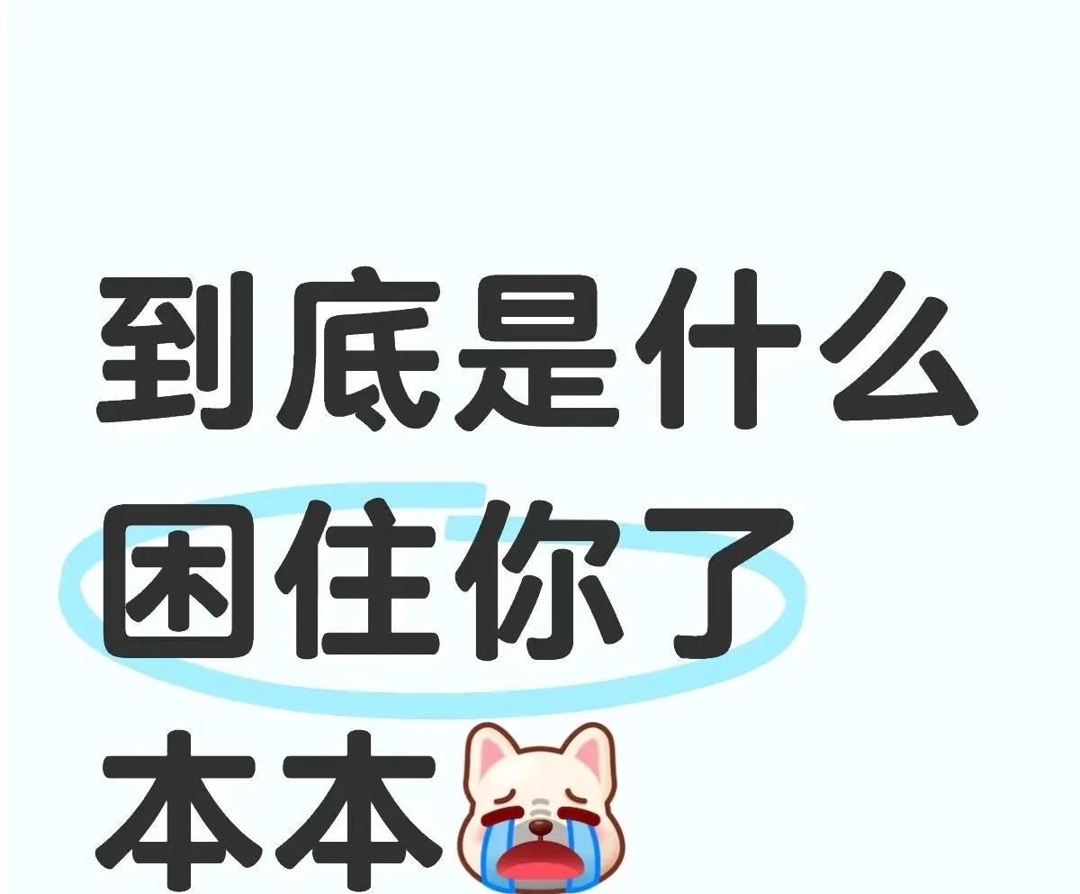 本子前面的大山越来越多了！户上一直打不过去了哈！
本本他爹一天天的帮妹妹研究莎莎