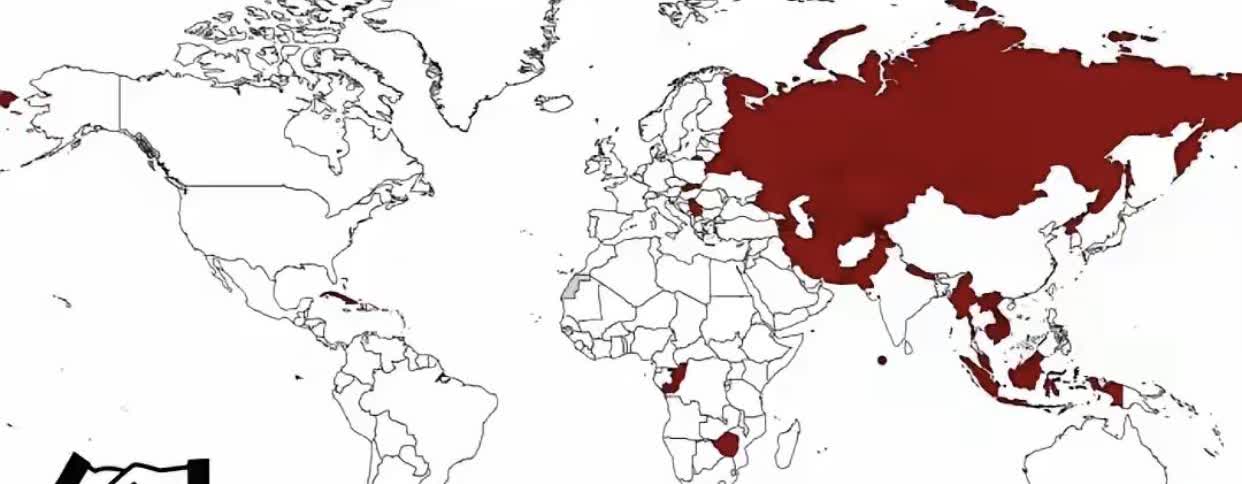 参加九三大阅兵的国家元首的数量其实并不是很多，大部分都是亚非国家，欧洲领导人这次