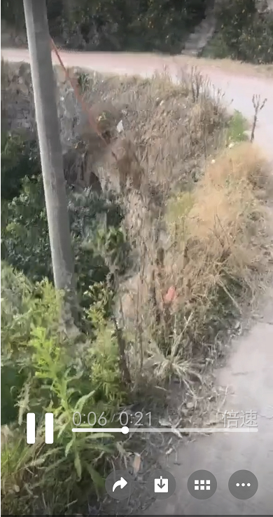 郭家坝镇道路安全隐患突出，民生项目资金使用引质疑