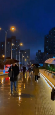 孤儿逆袭记：婶婶冷眼中藏支持与爱