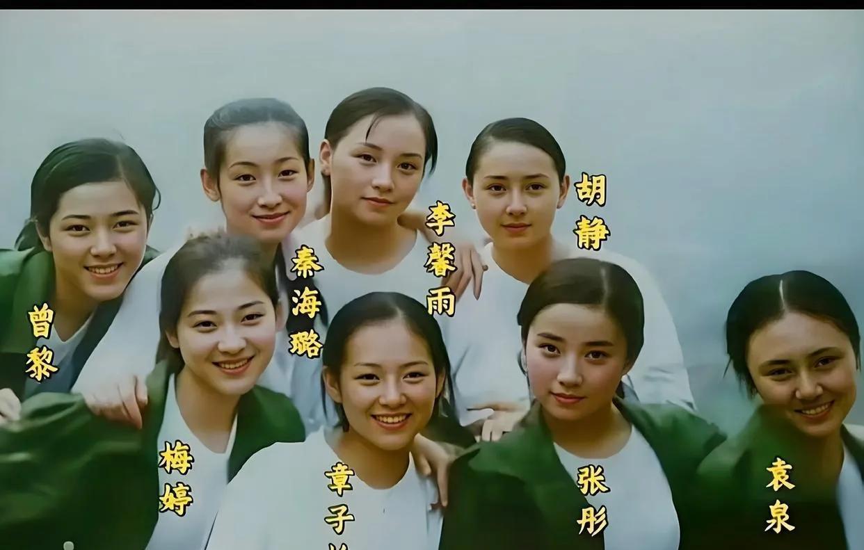 仔细看照片中这么多年轻的女演员中，个人感觉，年轻时的梅婷是最好看的， 老电影里走