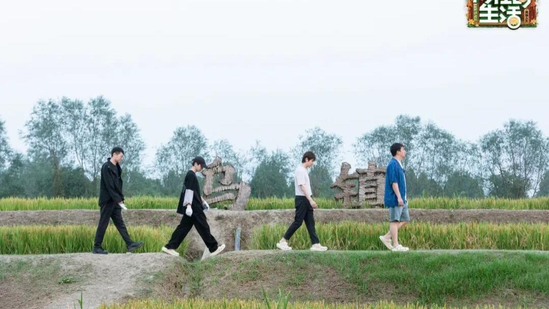 《向往的生活》回归，更无聊了？