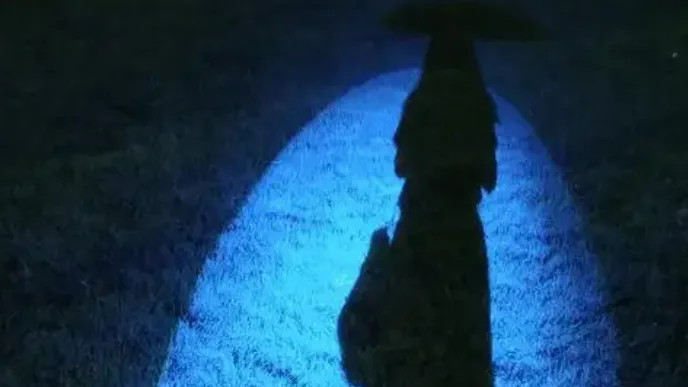 央企能不能降价？中海降价撕碎了谁的“体面”？