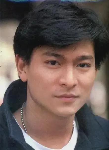 欧美娱乐圈有像华仔这样，在乐坛影坛都做到最顶级的明星吗？
