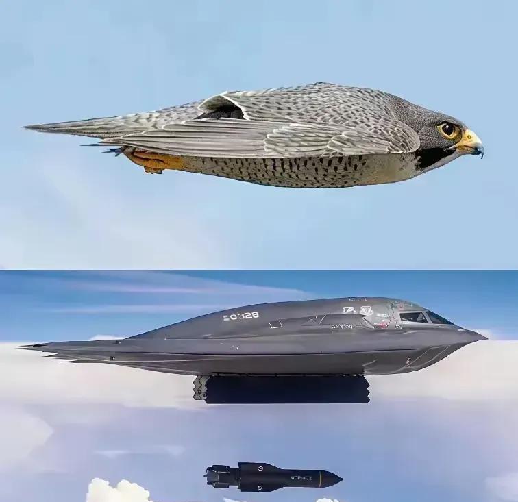 不得不说，真的是太像了，外界一直认为这就是美国仿生学运用到极致的典型。
不过美国