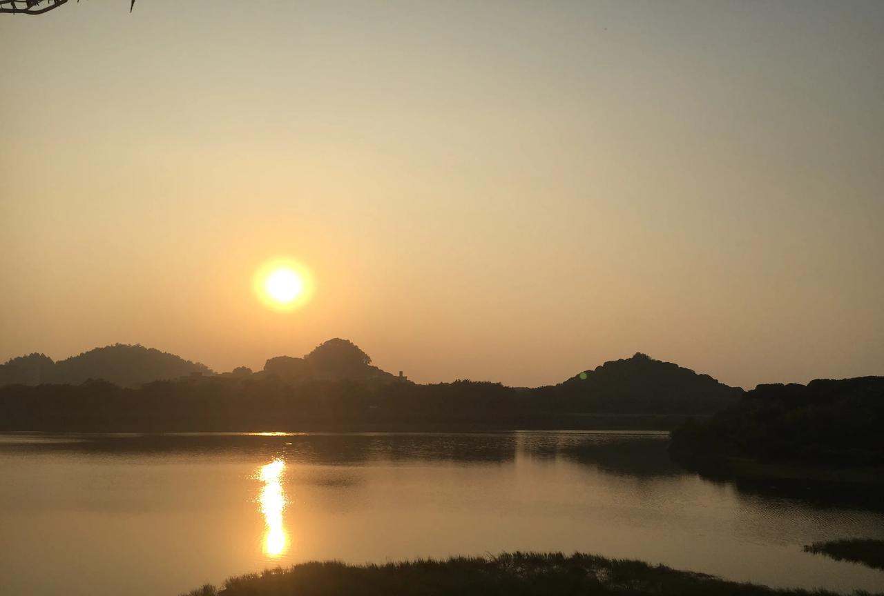 #夏日生活打卡季#