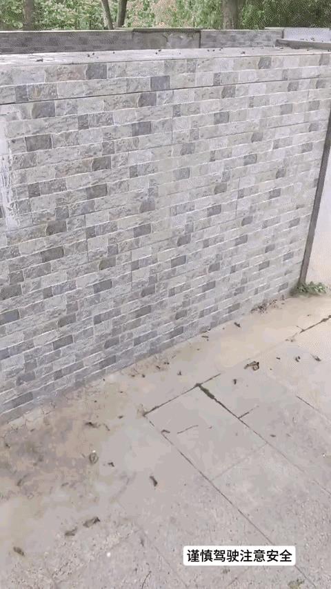 从这头牛的表现看，它的智商可能比那个骑车的高。