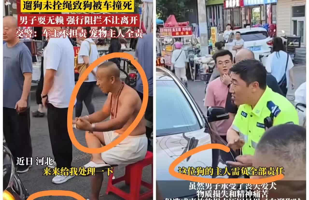 这杜宾犬事件刚刚结束，
就又出了一起遛狗不牵绳的，
这倒不是大型犬，但是他竟