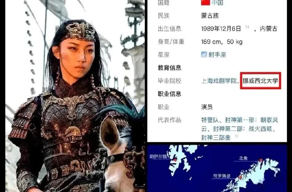 没必要抵制那尔那茜，加上她是少数民族同胞，大家就宽容些吧。
挪威西北大学历真的