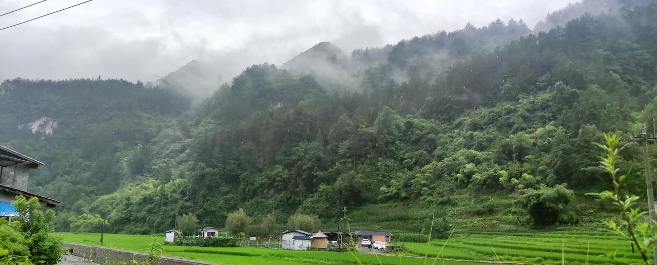 从桐梓县楚米汤家堡徒步前往八一村，大概一个小时就能到达石桥鱼塘。这个鱼塘可是远近