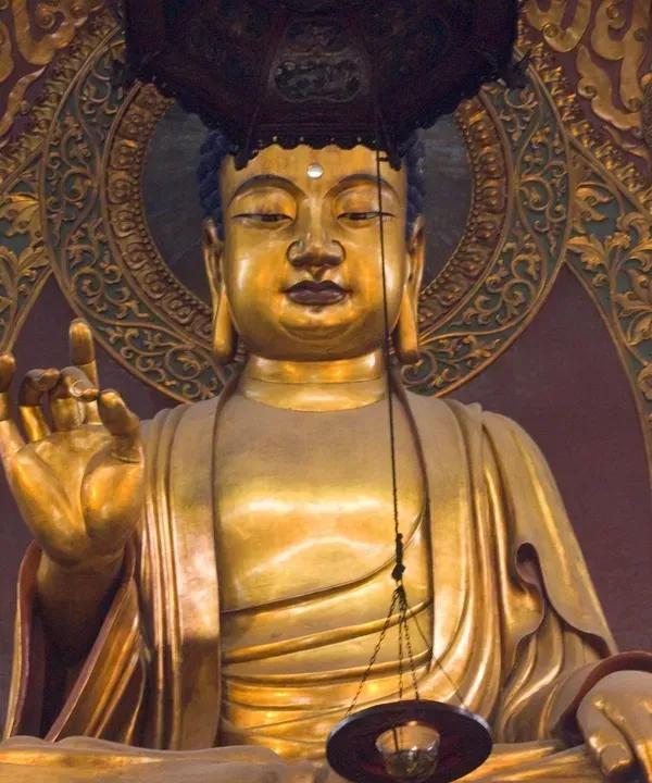 最近释永信的事儿闹得沸沸扬扬，
连带灵隐寺、观音寺、法门寺这些寺庙热度也跟着水涨
