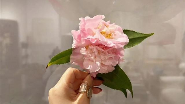 69岁吕良伟妇女节分享老婆杨小娟美照，夫妻俩好恩爱，幸福满溢！