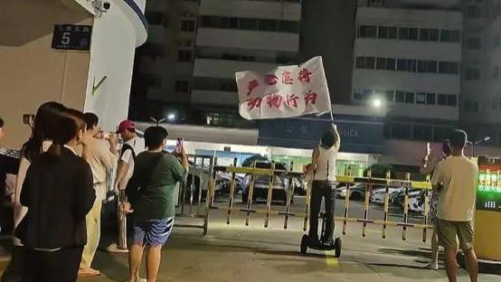 因为一条虐猫假消息，他们跑到派出所门口抗议