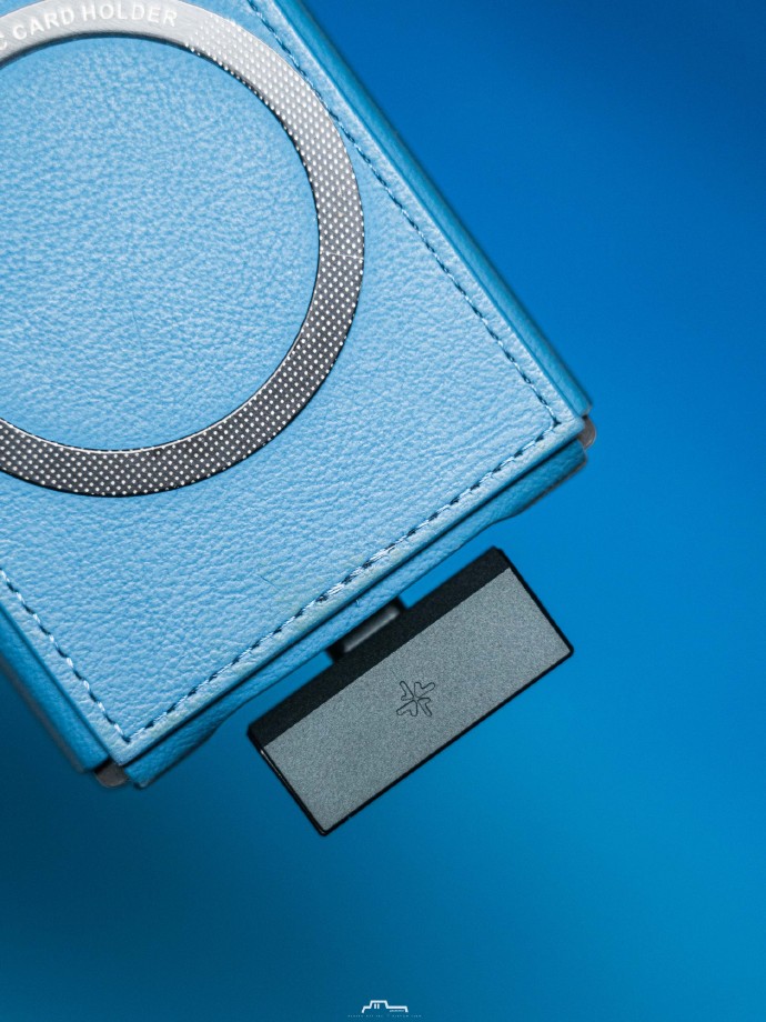 雪漫天小尾巴 Tiny