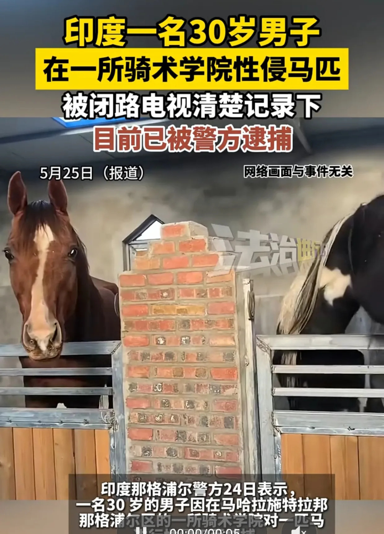 印度男子强奸马匹被抓





你敢相信吗？大半夜的，一个大老爷们儿竟然偷偷摸摸