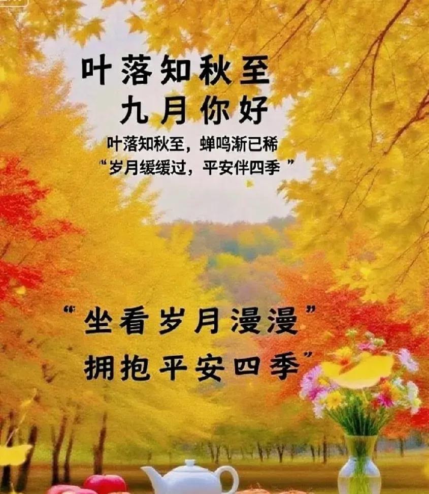 满山秋色尽染时
片片红叶寄想思
千山万水情意绵
晨光透窗秋梦迟
处暑过后秋风凉